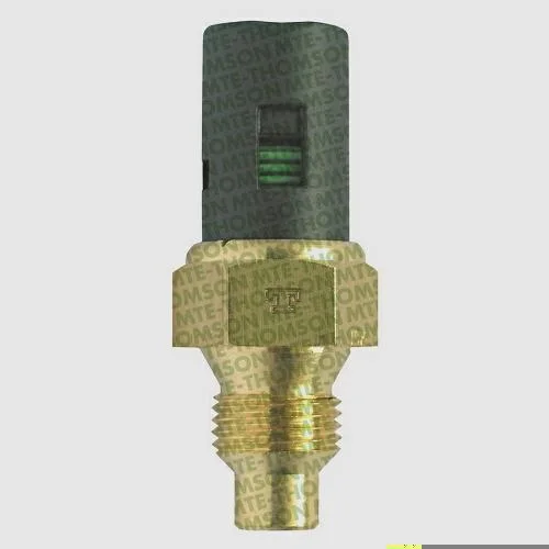 Interruptor Térmico MTE-THOMSON 841