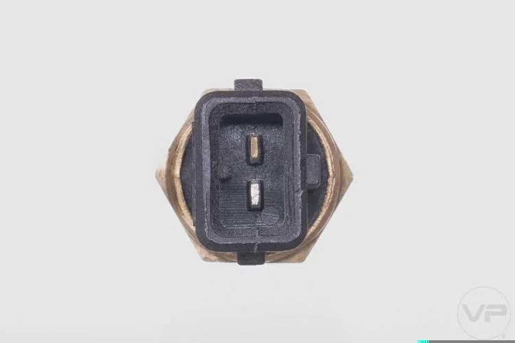 Plug Eletronico