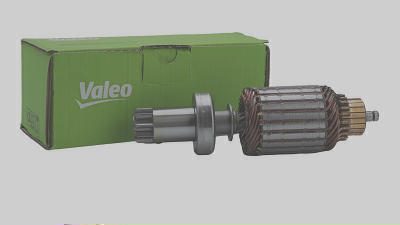 Induzido VALEO 494811.
