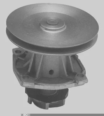 Bomba D' Água MAGNETI MARELLI BMM0757