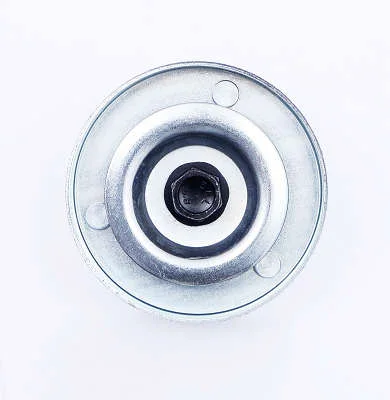 POLIA DAYCO APV2868