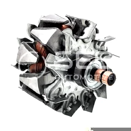 Rotor