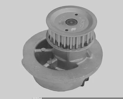 Bomba D' Água MAGNETI MARELLI BMM0148A