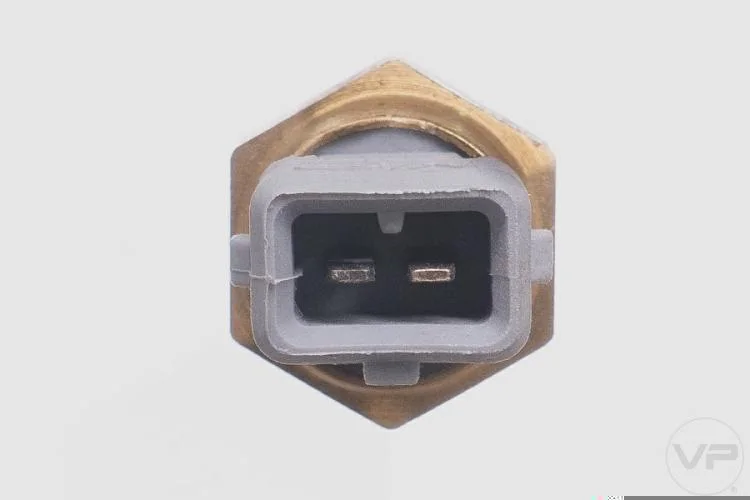 Plug Eletronico