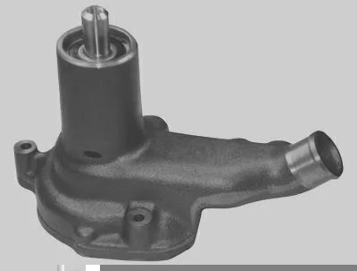 Bomba D' Água MAGNETI MARELLI BMM0800A