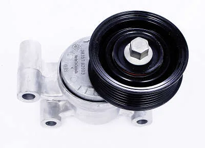 TENSIONADOR DAYCO APV2540