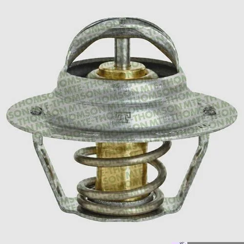 Válvula Termostática MTE-THOMSON VT271.89