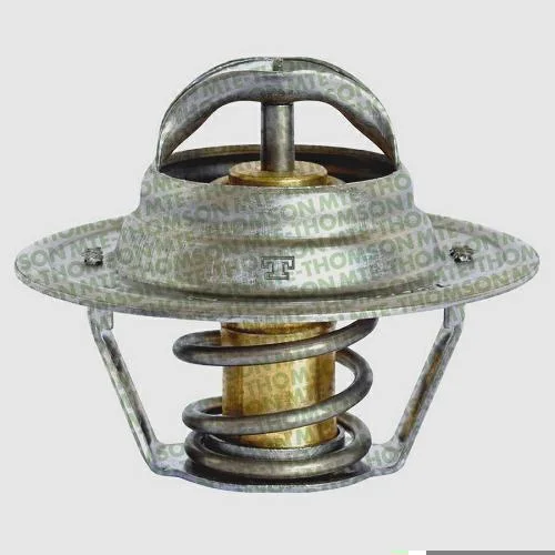Válvula Termostática MTE-THOMSON VT252.89