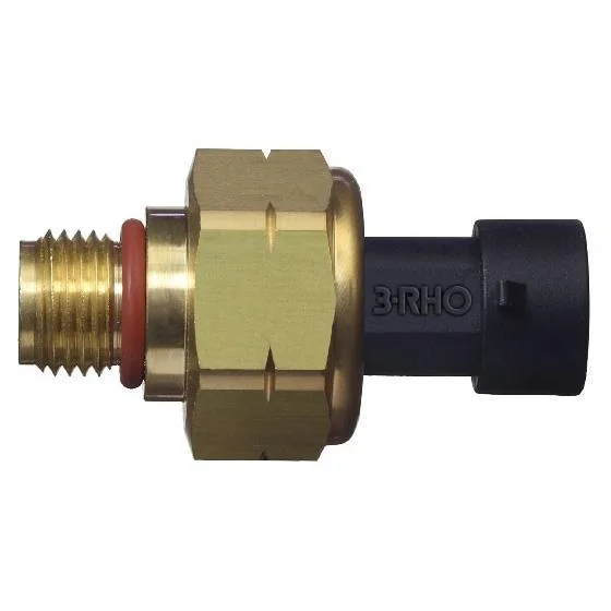 Sensor Eletrônico de Pressão 3RHO 77108