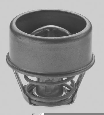 Válvula Termostática MAGNETI MARELLI MMVT247.82K