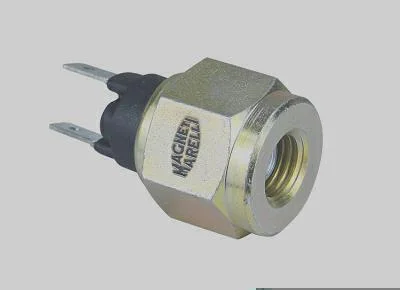 Interruptor Pneumático MAGNETI MARELLI IP5566