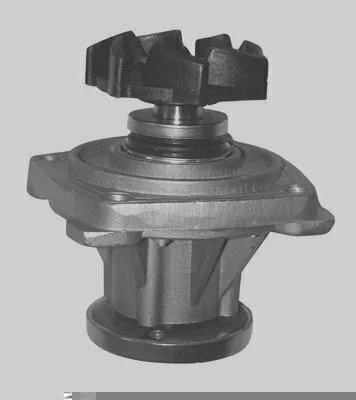 Bomba D' Água MAGNETI MARELLI BMM0749A