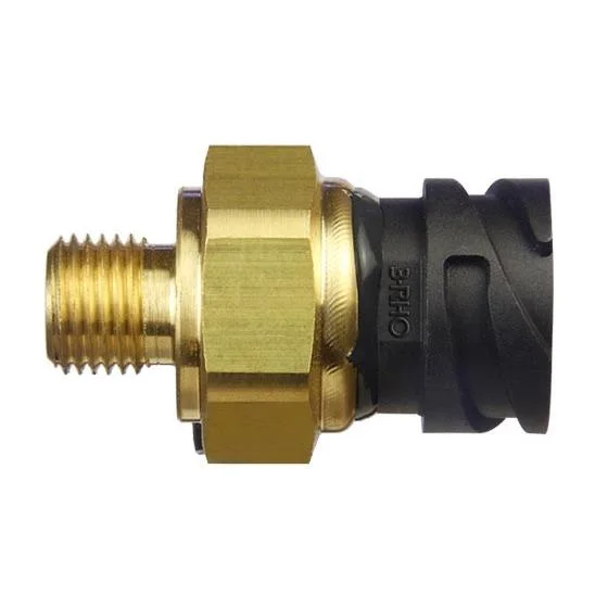 Sensor Eletrônico de Pressão 3RHO 7760