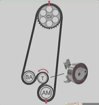 Correia + Tensor