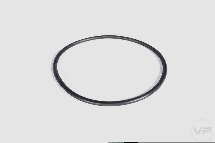 Guarnição da Flange de Combustível