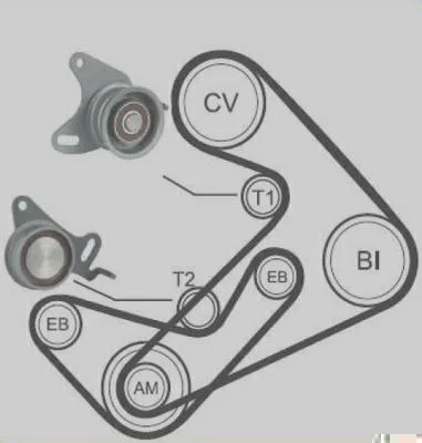 Correia + Tensor