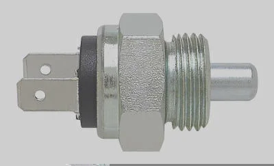 Interruptor de Luz de Ré MAGNETI MARELLI ILR4455