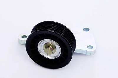 POLIA DAYCO APV2875