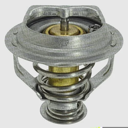 Válvula Termostática MTE-THOMSON VT589.95