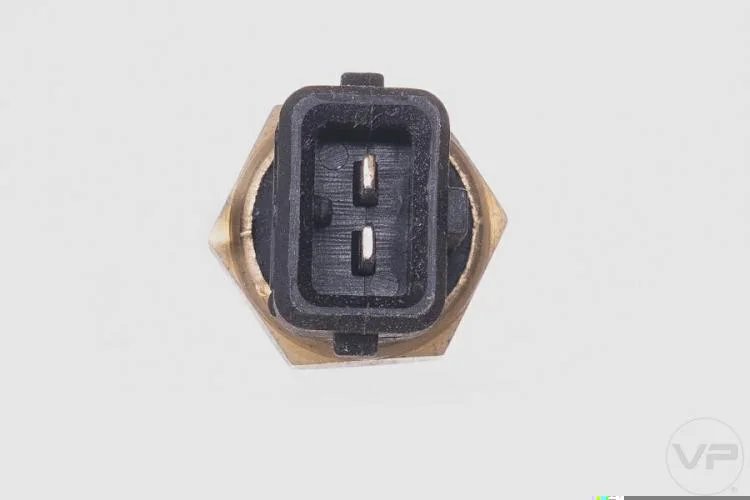 Plug Eletronico