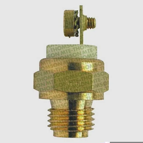 Interruptor Térmico MTE-THOMSON 3066