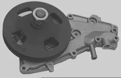 Bomba D' Água MAGNETI MARELLI BMM7024