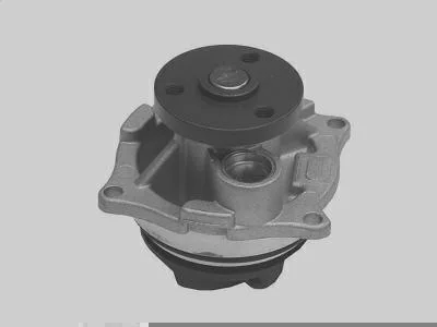 Bomba D' Água MAGNETI MARELLI BMM2040