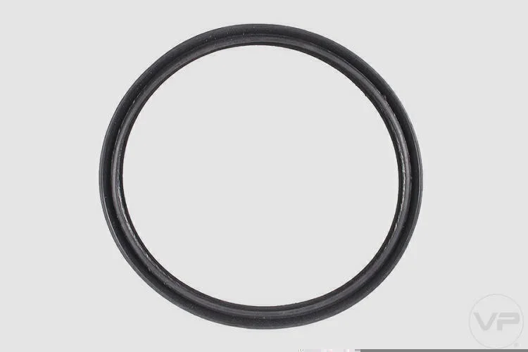 Guarnição da Flange de Combustível VP 7123
