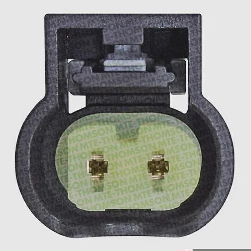Sensor de Temperatura dos Gases do Escapamento - EGTS