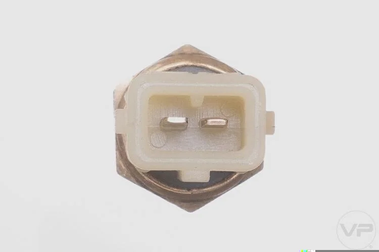 Plug Eletronico