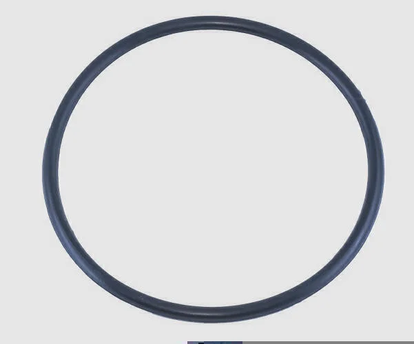 GUARNIÇÃO DA FLANGE DO MÓDULO DE COMBUSTÍVEL DSC 5035
