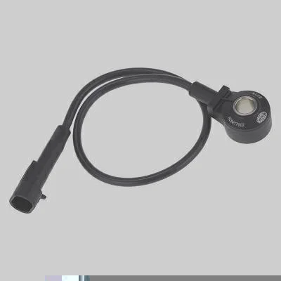 Sensor de Detonação MAGNETI MARELLI SDM17002
