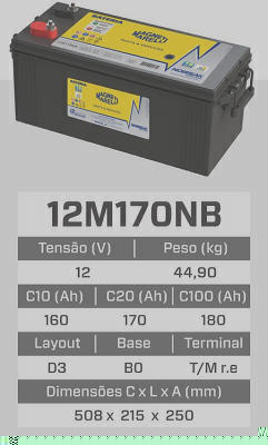 Estacionária MAGNETI MARELLI 12M170NB