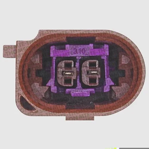 Sensor de Temperatura dos Gases do Escapamento - EGTS