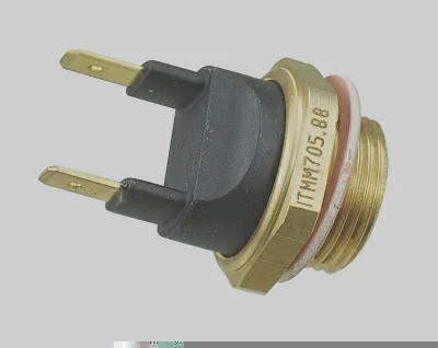 Interruptor Térmico MAGNETI MARELLI ITMM705.88