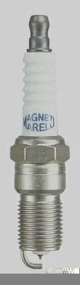 Platinum MAGNETI MARELLI Q6RTPMM-13