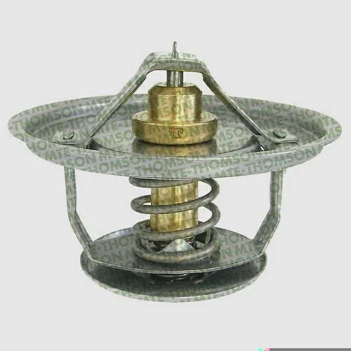 Válvula Termostática MTE-THOMSON VT214.71