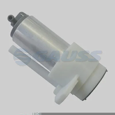 Bomba Interna GAUSS GI3091