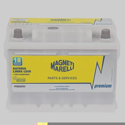 Premium MAGNETI MARELLI PRM60DRH