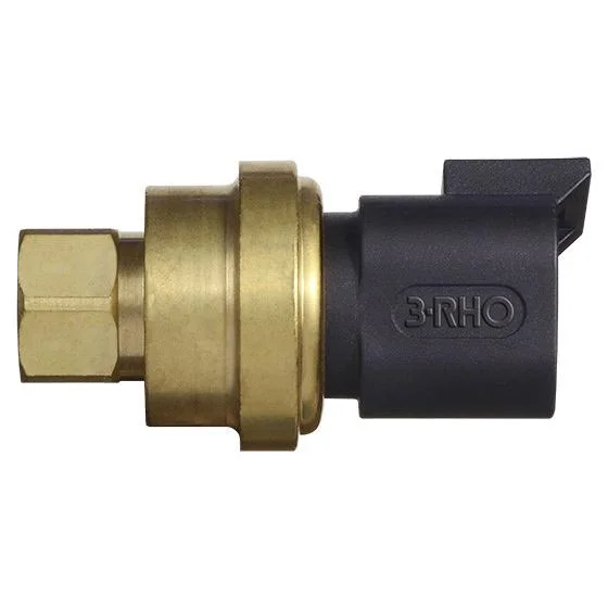 Sensor Eletrônico de Pressão 3RHO 7783