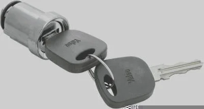 Cilindro de Ignição VALEO FO03596