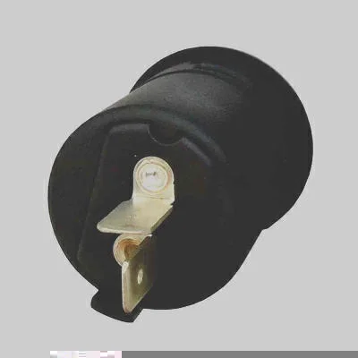 Interruptor Pressão Chave Comut 2 Term 24V