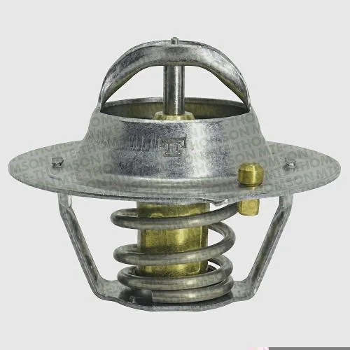 Válvula Termostática MTE-THOMSON VT614.88