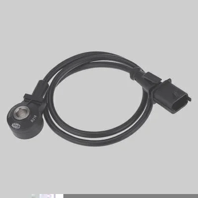 Sensor de Detonação MAGNETI MARELLI SDM10002