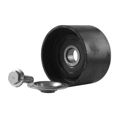 POLIA DAYCO APV1099