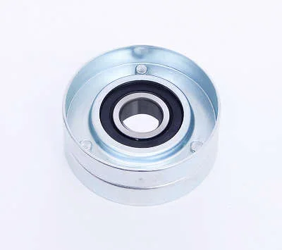 POLIA DAYCO APV2891