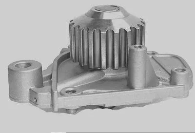 Bomba D' Água MAGNETI MARELLI BMM7523A