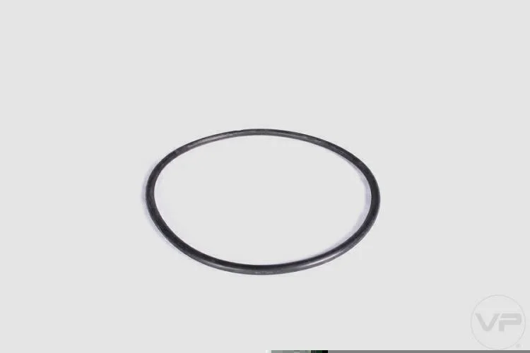 Guarnição da Flange de Combustível