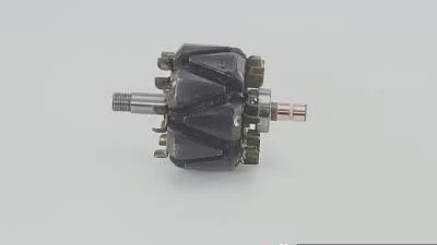 Rotor