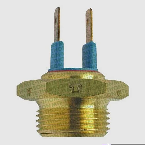 Interruptor Térmico MTE-THOMSON 706